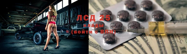 гашик Зерноград