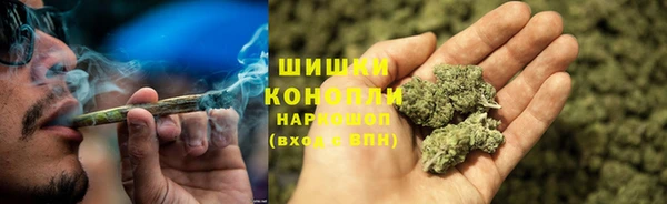 гашик Зерноград