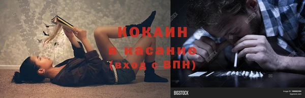гашик Зерноград