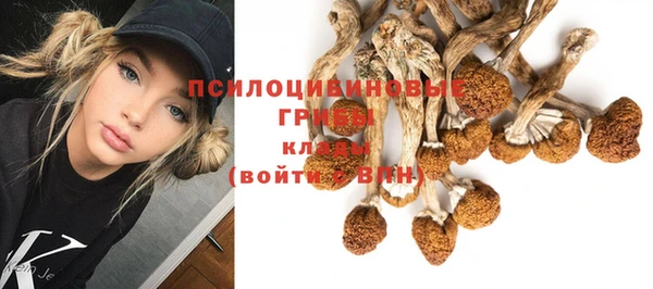 эйфоретик Зеленодольск